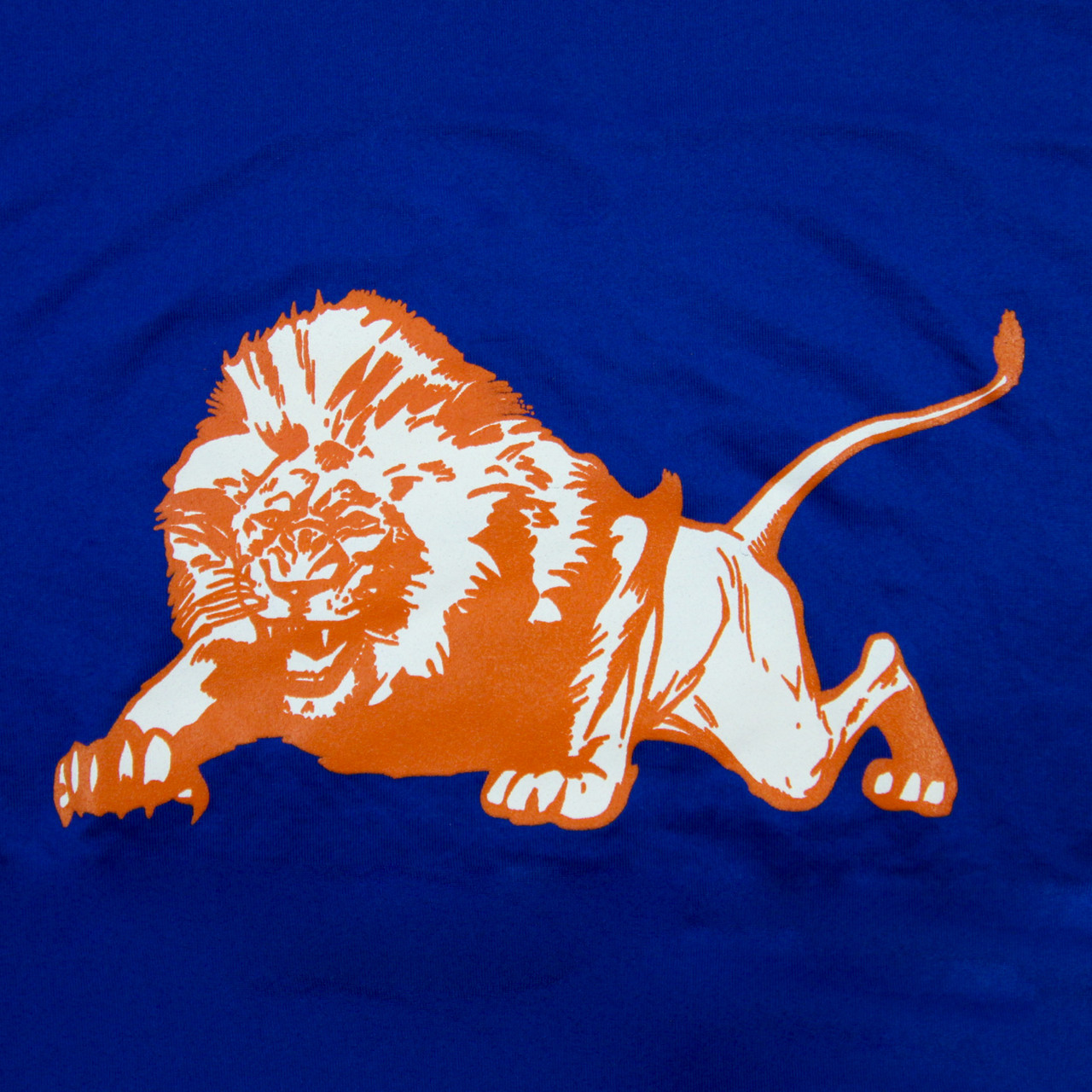 Florida Memorial Lions